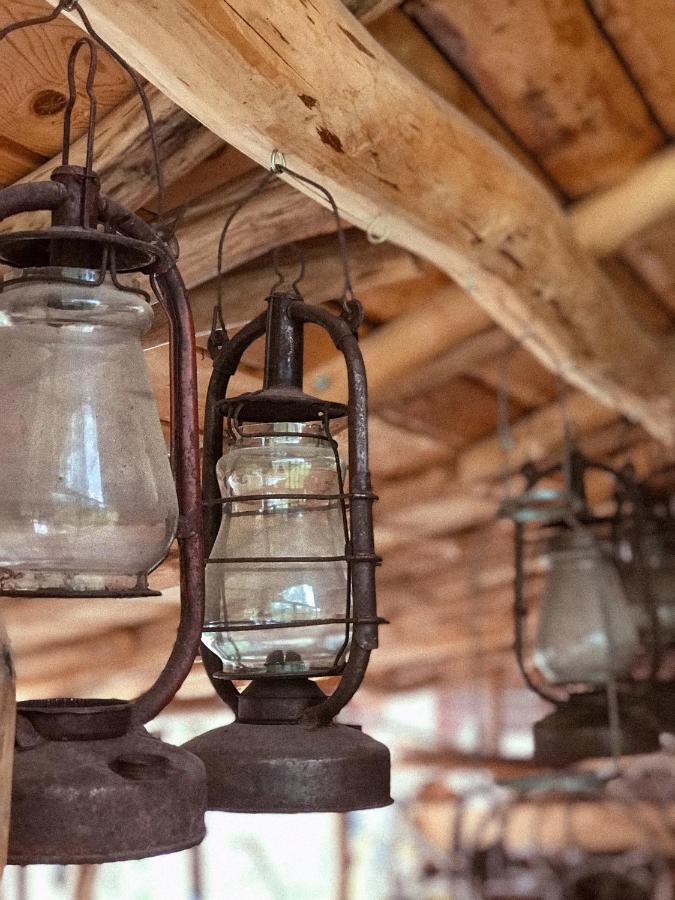 Чорногірський Вітер Villa Verkhovyna Dış mekan fotoğraf